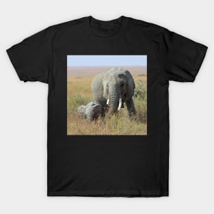 Elephants, Serengeti, Tanzania T-Shirt